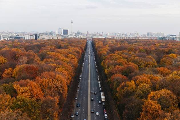Germany, Berlin, Highway surrounded by autumn park trees seen from Victory Column, MMPF00974