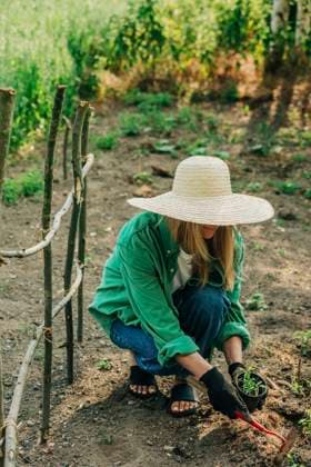 Woman with sun hat planting in garden model released, Symbolfoto, VSNF01127