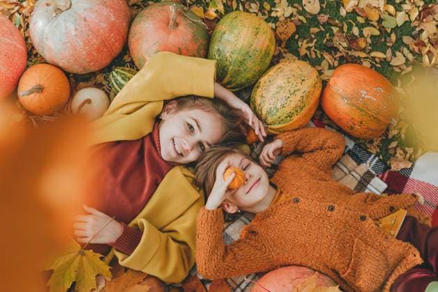 Smiling friends having fun on blanket in garden model released, Symbolfoto, YTF01048