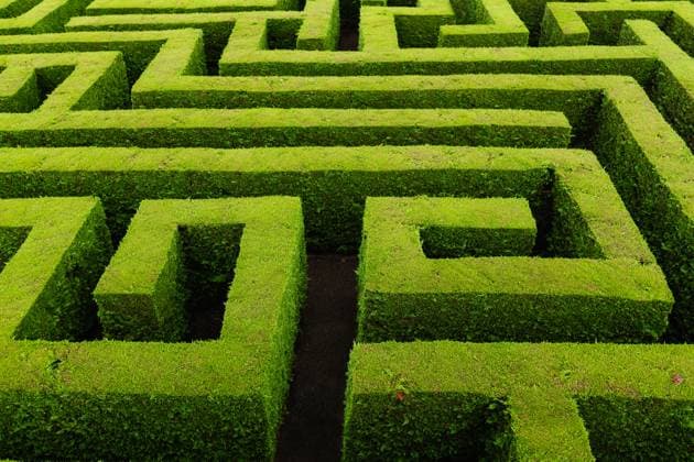 From above view of rows of green plants network of paths and hedges designed as puzzle Model Released HodeiUnzueta_ID16505_501707_004 Copyright: xHodeixUnzuetax
