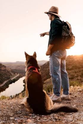Side view of male hiker in shirt standing on green hill with adorable dog in red collar and admiring picturesque scenery Model Released SergioVictorVega_ID16574_503687_013 Copyright: xSergioxVictorxVegax RECORD DATE NOT STATED