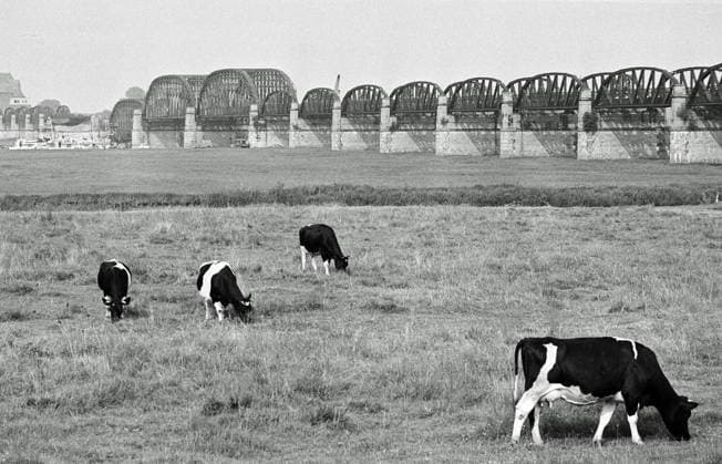 Archivfoto aus dem Juli 1978 von der Dömitzer Eisenbahnbrücke. Die fast einen Kilometer lange Elbquerung wurde 1870 - 1873 gebaut, war Teil der West-Ost-Bahnstrecke Lüneburg - Wittenberge und wurde 1945 durch einen Luftangriff teilweise zerstört. Wegen der deutschen Teilung lag sie fortan im Grenzgebiet und wurde nicht instandgesetzt. Wegen Einsturzgefahr wurden drei Brückenteile 1978 abgebaut und mit Pontons abtransportiert, wobei zahlreiche Schaulustige zusahen.