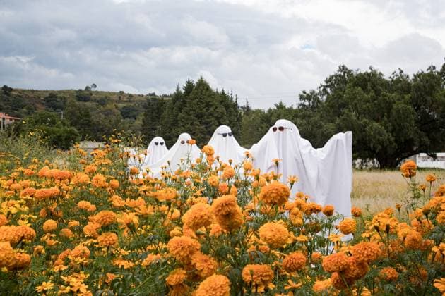 Ghosts In Cempasuchil Field For Day of the Dead Celebrations October 26, 2023, Tlaxcala, Mexico: Persons Dress Up As Ghosts In The Cempasuchil Flower Field On The Occasion Of The Day Of The Dead celebration, In The Municipality Of Tepeyanco. On October 25, 2023 in Tlaxcala, Mexico (Photo by Essene Hernandez Eyepix Group). Copyright: xEssenexHernandez xEyepixxGroupx fantasma_3_of_10