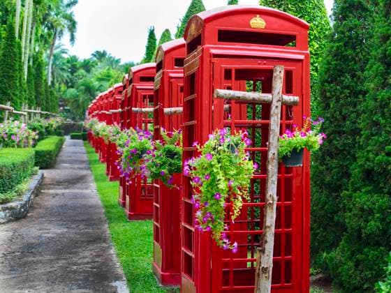 Thai Phone Booths in Nong Nooch Garden. Pattaya. , 13519616.jpg, palm, tropical, nature, tree, asia, cultivated, plantation, woods, plant, view, scene, sunlight, bright, day, light, blue, sky, cloud, outdoor, pattaya, flora, branch, beauty, botanical, green, beautiful, park, thailand, summer, garden, Phone Booth, RECORD DATE NOT STATED