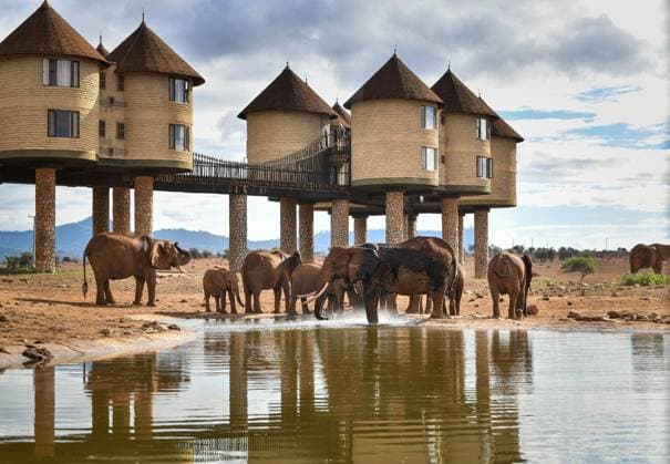 Bilder des Jahres 2023, News 10 Oktober News Themen der Woche KW43 News Bilder des Tages (231029) -- TAITA-TAVETA, Oct. 29, 2023 -- Elephants are seen in Taita Hills Wildlife Sanctuary, Taita-Taveta County, Kenya, Oct. 28, 2023. ) KENYA-TAITA-TAVETA-TAITA HILLS WILDLIFE SANCTUARY-SCENERY HanxXu 