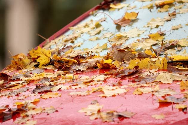 News Themen der Woche KW43 Buntes Herbstlaub liegt auf einem Auto in der Siegener Leimbachstrasse. Herbststimmung im Siegerland am 29.10.2023 in Siegen Deutschland. *** Colorful autumn leaves lie on a car in the Siegen Leimbachstrasse autumn atmosphere in the Siegerland on 29 10 2023 in Siegen Germany