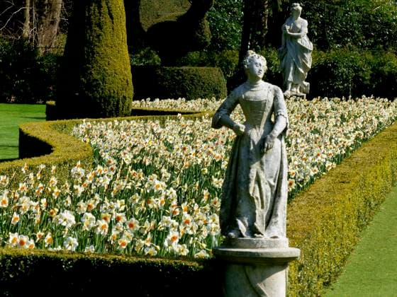 Narcissus on display at The Long Wall Garden Cliveden House Berkshire England Narcissus on display at The Long Wall Garden Cliveden House Narcissus on display at The Long Wall Garden Cliveden House Berkshire England, Credit:Geoff Swaine Avalon  Copyright: xGeoffxSwainex xAvalonx 0520414944