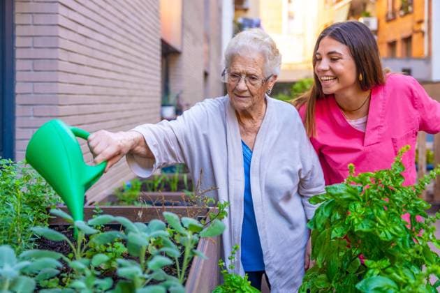  Krankenschwester und ältere Frau gießen Kräuterpflanzen im städtischen Gemüsegarten eines Pflegeheims *** Nurse and older Woman Giessen Herbaceous plants at Municipalities Vegetable garden one Nursing home Copyright: imageBROKER/UnaixHuizi ibxuhu09763411.jpg ,model released, Symbolfoto ,property released