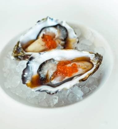 Gourmet portion of two oysters from the European Mediterranean Lloret de Mar, Catalonia, Spain R_QJZXDZ231025-1273777-01