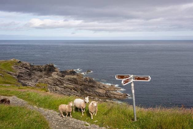 Le Donegal en Irlande SIMON DAVAL PERIPLES ET CIE MAXPPP - Photo d illustration des paysages du Donegal, le Comte le plus recule de la Republique d Irlande. Donegal landscapes in Ireland  Copyright: xMAXPPPxSimonxDavalx-xPériplesx&xCiex DAV231030-08000 DAV231030x08000