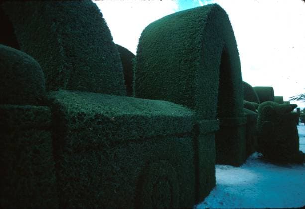 Topiary Tulcan Cemetary Topiary Tulcan Cemetary, Credit:Norman O. Tomalin Avalon  Copyright: xNormanxO.xTomalinx xAvalonx 0508136273