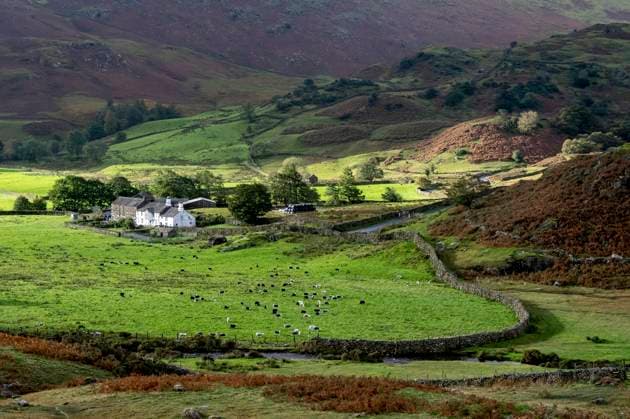 Typische Landschaft mit Bauernhaus und Steinmauer, Lake District National Park, Cumbria, England, Großbritannien, Europa *** typical Landscape with Farmhouse and Stone wall, Lake District National Park, Cumbria, England, Great Britain, Europe Copyright: imageBROKER SonjaxJordan ibxjor09779033.jpg