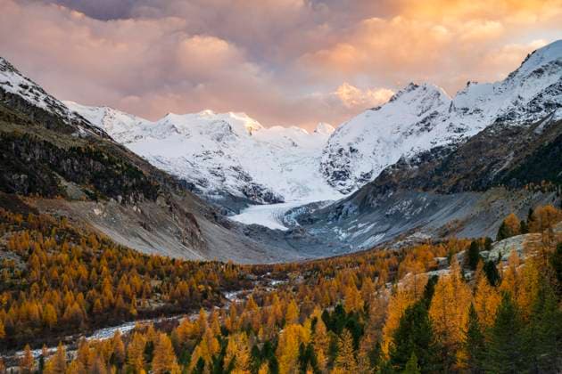 Creative Highlights World Herbstlicher Lärchenwald vor Morteratschgletscher, Berninagruppe mit Piz Bernina, Piz Palü, Pontresina, Engadin, Kanton Graubünden, Schweiz, Europa *** Herbstlicher Larch forest before Morteratsch glacier, Bernina group with Piz Bernina, Piz Palü, Pontresina, Engadine, Canton Grisons, Switzerland, Europe Copyright: imageBROKER RobertxHaasmann ibxroh09780847.jpg