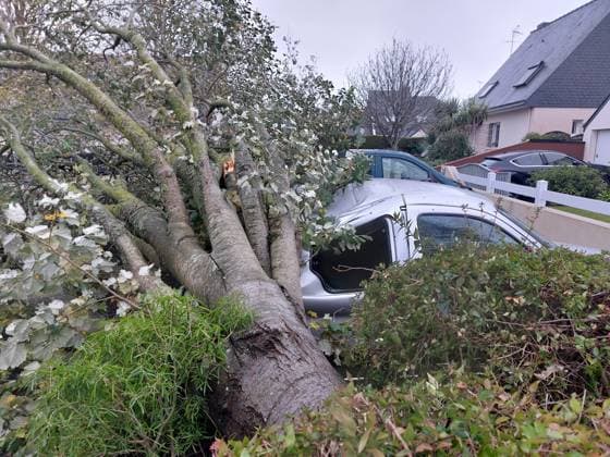 News Themen der Woche KW44 News Bilder des Tages TEMPETE CIARAN PHOTOPQR LE TELEGRAMME Julien Molla ; ; 02 11 2023 ; PLERIN (22). Le 02 11 2023. À Plérin (22), un arbre est tombé sur une voiture dans la rue des Pinçons. De nombreuses chutes d’arbres sont constatées dans les Côtes-d’Armor après le passage de la tempête Ciaran. A 10 h, 239 pompiers et 110 véhicules de secours étaient toujours en engagés sur le terrain. West of France on November 2, 2023, as the storm Ciaran hits the region. *** Local Caption *** France  Copyright: xPHOTOPQR LExTELEGRAMME MAXPPPxJulienxMollax 20231102TGB2580 20231102TGB2580
