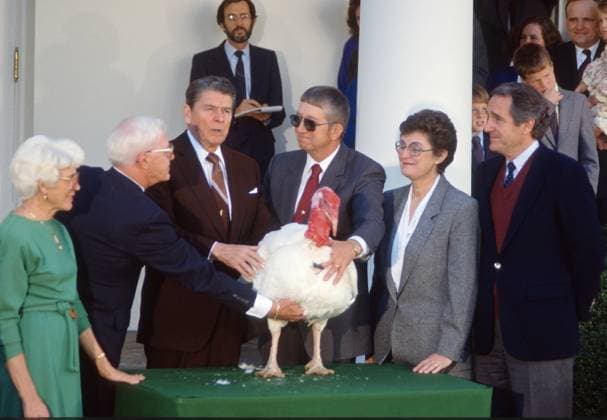 November 19, 1988, Washington, USA: United States President Ronald Reagan and Peter Hermanson, president of the National Turkey Federation, third right, participate in the annual White House Thanksgiving turkey presentation in the Rose Garden of the White House in Washington, DC on Friday, November 18, 1988. The turkey, named Woody, came from Iowa and weighs between 40 and 50 pounds. He will be sent to a pet farm in Reston, Virginia. Standing at far right is US Senator Tom Harkin (Democrat of Iowa) Washington USA - ZUMAs152 19881119_faa_s152_002 Copyright: xArniexSachsx