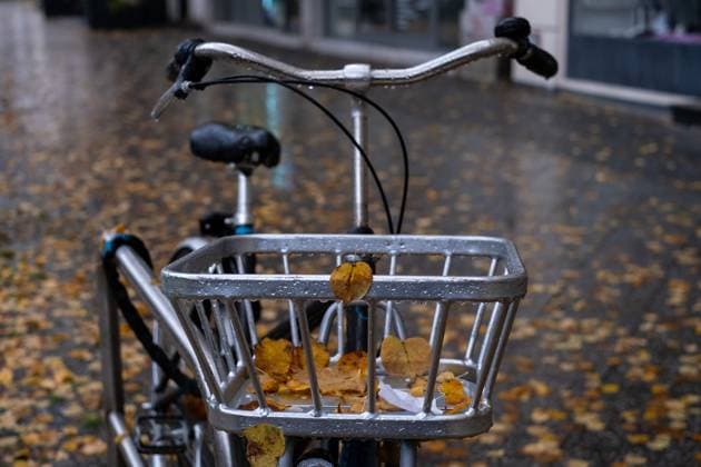 Herbstlaub liegt in einem Korb an einem Fahrrad in Berlin. Autumn leaves lie in a basket on a bicycle in Berlin. Herbst in Berlin *** Autumn leaves lie in a basket on a bicycle in Berlin Autumn leaves lie in a basket on a bicycle in Berlin Herbst in Berlin sp20231029x10058.jpg