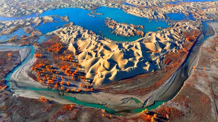 Creative Highlights World Populus Euphratica Forest Bloom in Bazhou BAZHOU, CHINA - NOVEMBER 4, 2023 - Aerial photo taken on Nov 4, 2023 shows the blooming Populus Euphratica Forest in the Luoburen village scenic area in Bazhou, Northwest China s Xinjiang Uygur autonomous region. The Luoburen village scenic area is a collection of desert, populus euphratica, rivers, lakes and other natural landscapes. Bazhou Xinjiang China  Copyright: xCFOTOx originalFilename: cfoto-populuse231105_npwKU.jpg