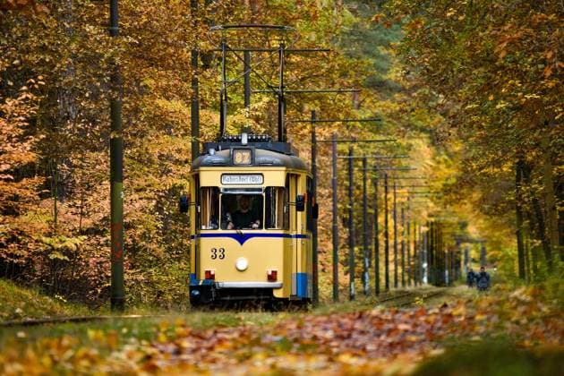 Straßenbahnromantik Die Straßenbahnlinie 87, fotografiert am 4. November 2023, verkehrt zwischen dem S-Bahnhof Rahnsdorf und Woltersdorf in Brandenburg. Sie zählt zu den schönsten Straßenbahnstrecken in Berlin. Vor allem im Herbst ist sie das Ziel vieler Fotografen. Auf dem Bild ist ein sogenannter Gothawagen zu sehen. Die alten DDR-Straßenbahnen wurden im Waggonwerk Gotha gefertigt. Berlin Berlin Deutschland _JK13578 *** Tramway romance Tram line 87, photographed on November 4, 2023, runs between Rahnsdorf S-Bahn station and Woltersdorf in Brandenburg It is one of the most beautiful streetcar lines in Berlin It is the destination of many photographers, especially in autumn The picture shows a so-called Gotha car The old GDR streetc