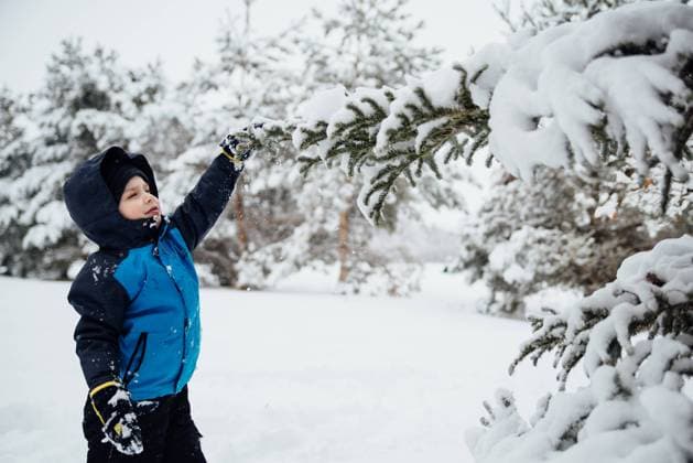 Side view of young boy grabbing tree branch in yard at home. Bismarck, North Dakota, United States CR_KIFR231105C-149112-01 ,model released, Symbolfoto