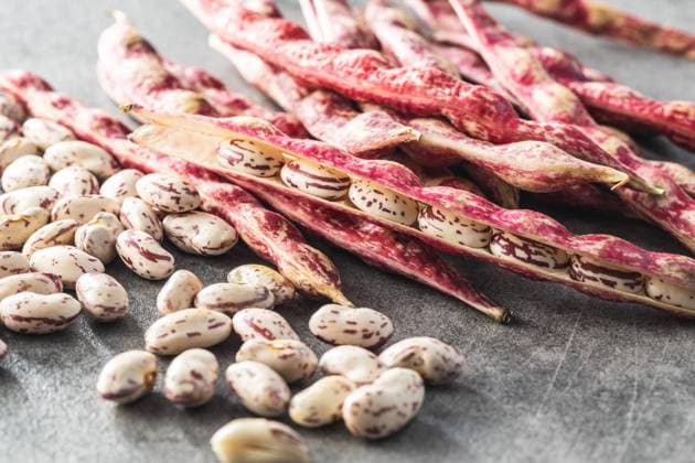 Cranberry beans. Borlotti beans. Beans pods on kitchen table. Cranberry beans. Borlotti beans. Beans pods on kitchen table. Copyright: xZoonar.com JIRIxHERAx 17507152