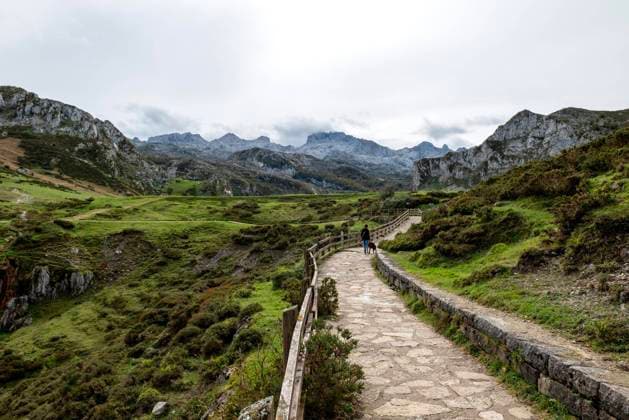  Wandererin mit Hund auf befestigterm Wanderweg im Nationalpark Picos de Europa, Nähe Lagos de Covadonga, Asturien, Principado de Asturias, Spanien, Europa *** Hiker with Dog at fastener term Hiking trail at National Park Picos de Europe, Proximity Lagos de Covadonga, Asturias, Principado de Asturias, Spain, Europe Copyright: imageBROKER/olf ibxfra09816927.jpg
