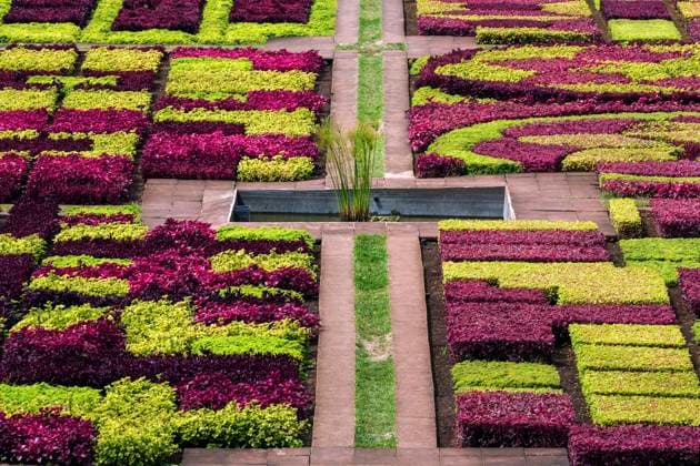 Als Muster angelegte Blumenbeete und Pflanzen, Botanischer Garten Funchal, Jardim Botanico, Madeira, Portugal, Europa *** as Samples created Flowerbeds and Plants, Botanist Garden Funchal, Jardim Botanico, Madeira, Portugal, Europe Copyright: imageBROKER HarryxLaub ibxhal09812045.jpg