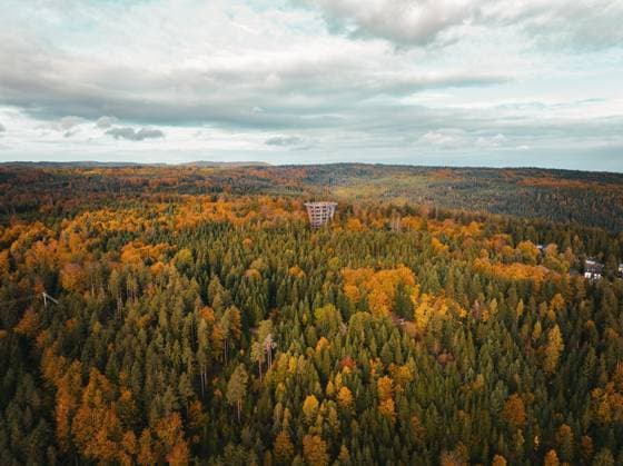 Luftbild des Aussichtsturms Baumwipfelpfad im Herbstwald, Bad Wildbad, Schwarzwald, Deutschland, Europa *** Luftbild of observation tower Baumwipfelpfad at Autumn forest, Bathroom Wildbad, Black Forest, Germany, Europe Copyright: imageBROKER ManuelxKamuf ibxmlk09777992.jpg