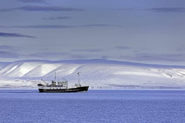  Schneebedeckte Berge und Boot mit Touristen während Fjord Kreuzfahrt im Billefjorden im Herbst, Spitzbergen, Norwegen, Europa *** snow-covered Mountains and Boat with Tourists during Fjord Cruise at Bille fjords at Fall, Spitsbergen, Norway, Europe Copyright: imageBROKER/alimdix/xArterrax/xSven-ErikxArndt ibltsm09829365.jpg