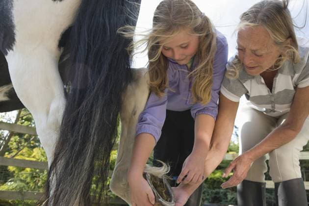 IMAGO Creative, Kinder auf dem Reiterhof Mature woman and young girl holding and cleaning a horse hoof United Kingdom  Copyright: Ableimages fStopImages2037060 ,model released, Symbolfoto ,property released