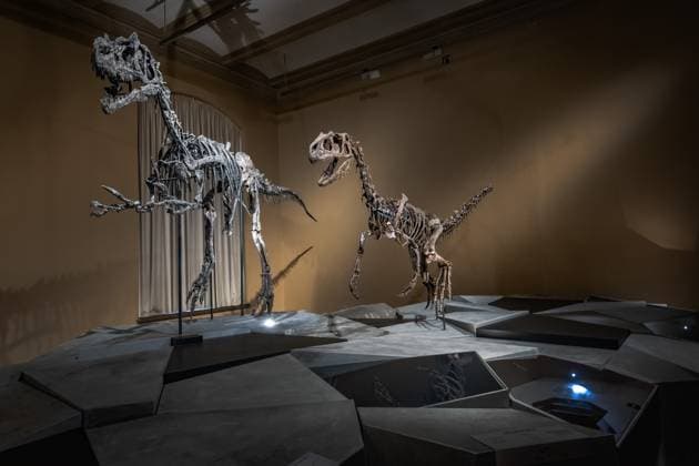 Berlin Mitte, Museum für Naturkunde, Naturkundemuseum, Invalidenstraße; Sonderausstellung: Dinosaurier Tristan Otto - 15.11.2023 Museum