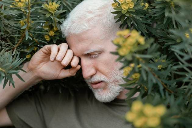 Creative Highlights Symbolbilder Nahaufnahme Mann posiert mit Pflanze *** Close-up Man poses with Plant Copyright: imageBROKER/OleksandrxLatkun iblole09804109.jpg ,model released, Symbolfoto ,property released
