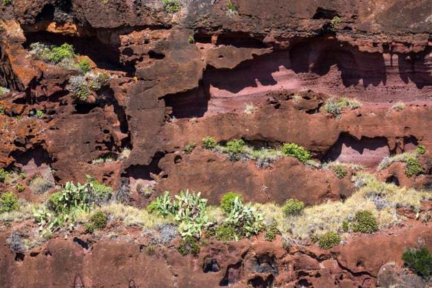 Verwitterte Lavafelsen an der Steilküste bei Paul do Mar, Madeira, Portugal, Europa *** Verwitterte Lava rocks to the Steep coast at Paul Do Mar, Madeira, Portugal, Europe Copyright: imageBROKER HarryxLaub ibxhal09833121.jpg