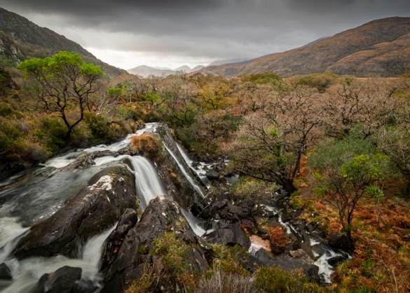 Waterfall and forest, Killarney National Park, County Kerry, Munster, Republic of Ireland (Eire), Europe Copyright: RobertxCanis 1200-476