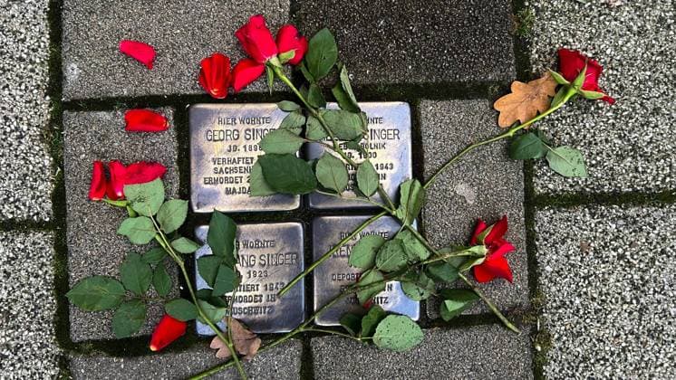 Stolpersteine des Kölner Künstlers Gunter Demnig zum Gedenken an ermordete Juden im Dritten Reich, rote Roseb, Magdeburg, Sachsen-Anhalt, Deutschland, Europa *** Stumbling blocks of Cologne Artist Gunter Demnig to Commemoration to murdered Jews at third Reich, red Roseb, Magdeburg, Saxony Anhalt, Germany, Europe Copyright: imageBROKER StephanxSchulz ibxssz09829327.jpg