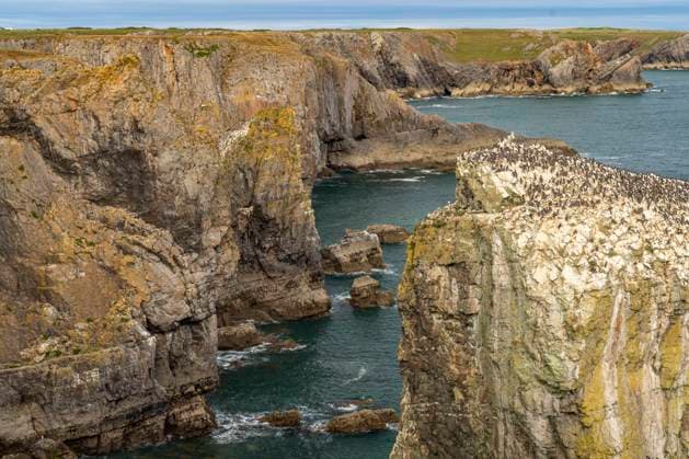 Steilküste Steilküste des Pembrokeshire Coast National Park, Pembrokeshire, Wales, Großbritannien, Europa Steep coast of the Pembrokeshire Coast National Park, Pembrokeshire, Wales, United Kingdom of Great Britain, Europe *** Steep coast Steep coast of the Pembrokeshire Coast National Park, Pembrokeshire, Wales, United Kingdom of Great Britain, Europe Steep coast of the Pembrokeshire Coast National Park, Pembrokeshire, Wales, United Kingdom of Great Britain, Europe
