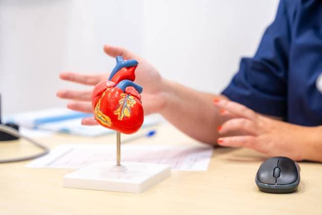 Nahaufnahme eines nicht zu erkennenden Kardiologen, der einem Patienten anhand eines Herzmodells etwas erklärt *** Close-up one not to discerning Cardiologists, the a Patients using one Heart model something explains Copyright: imageBROKER UnaixHuizi ibxuhu09884924.jpg ,model released, Symbolfoto ,property released