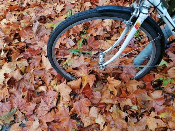 Berlin - Deutschland. Fahrrad im Herbstlaub. *** Berlin Germany Bicycle in the fall foliage