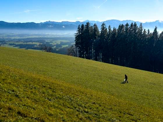 Hiker enjoy the weather at the Auerberg mountain in Stötten a. A. Bavaria, Allgäu, Germany, Nov 23, 2023.