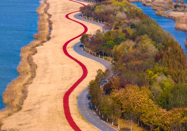 Creative Highlights World Chengzi Lake Wetland in Suqian Winter scenery is being showcased at Chengzi Lake Wetland in Suqian, Jiangsu Province, China, on November 25, 2023. Suqian Jiangsu China  Copyright: xCFOTOx originalFilename: cfoto-chengzil231127_npWLe.jpg