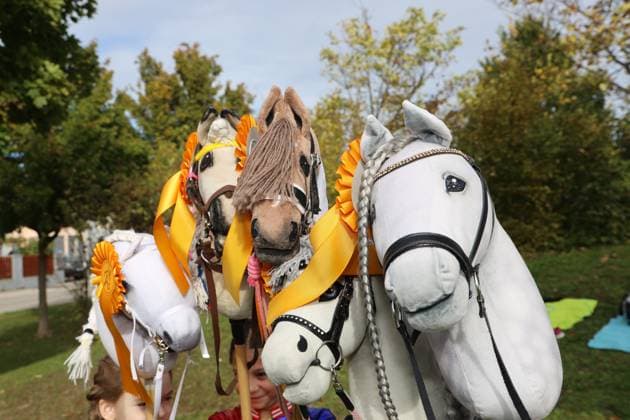 Hobby Horsing Leopoldsdorf, 26. 10. 2023 Hobby Horsing *** Hobby Horsing Leopoldsdorf, 26 10 2023 Hobby Horsing 