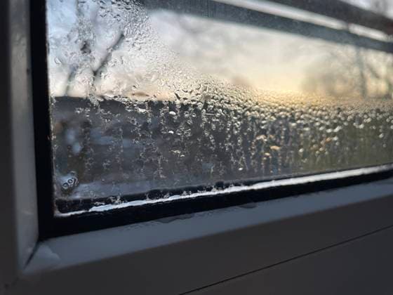 Kondenswasser an einem Fenster im Winter 30.11.2023 *** Condensation on a window in winter 30 11 2023