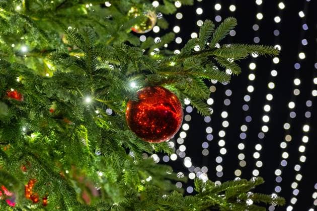 Weihnachtskugeln unter dem Lichterzelt - Der Weihnachtsmarkt am Kölner Dom auf dem Roncalliplatz gehört zu den schönsten in Deutschland und ist vom 23. November bis 23. Dezember geöffnet. Besucher finden hier über 130 festlich geschmückte Stände mit Kunsthandwerk, Geschenken und Gastronomie 30.11.2023 Köln Innenstadt NRW Deutschland