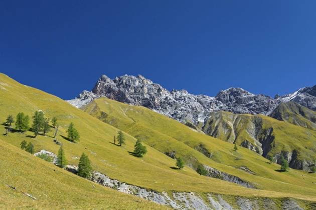 Blick auf den Berg Piz Fier im Val Trupchun, Schweizerischer Nationalpark in Graubünden, Graubünden in den Alpen, Schweiz, Europa *** View at the mountain Piz Fier at Val Trupchun, Swiss National Park in Grisons, Grisons in the Alps, Switzerland, Europe Copyright: imageBROKER alimdix xArterrax xSven-ErikxArndt ibltsm09919245.jpg