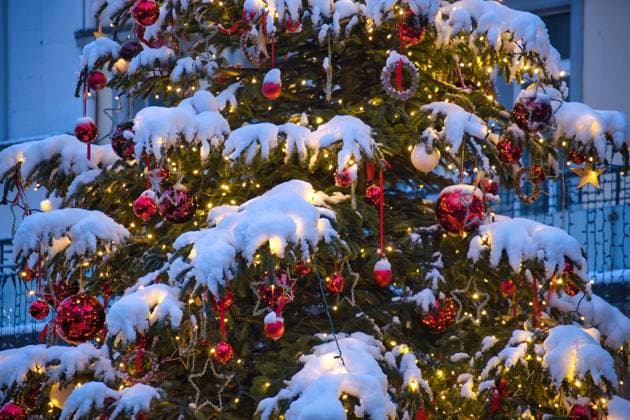 Christbaumkugeln hängen an einem verschneiten Baum *** Christmas baubles hanging on a snow-covered tree