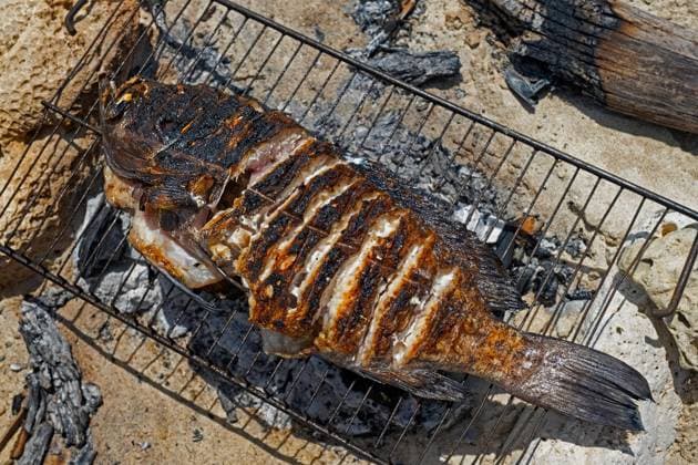  Fangfrischer Fisch, gegrillt auf einem einfachen Grill am Strand des Fischerdorfs Andavadoaka bei Morombe, Region Atsimo Andrefana, Madagaskar, Afrika *** Fresh fish Fish, grilled at a simple Grill on Beach of Fishing villages Andavadoaka at Morombe, Region Atsimo Andrefana, Madagascar, Africa Copyright: imageBROKER/alimdix/xArterrax/xMaricaxvanxderxMeer ibltsm09922579.jpg