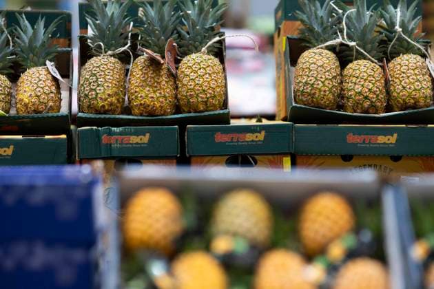 Rungis International Market - Southern Paris This photograph shows pineapple at the fruits and vegetables of the Rungis International Market, in Rungis southern suburb of Paris on December 6, 2023. The Rungis International Market (Marche International de Rungis) is the principal market of Paris, mainly for food and horticultural products, located in the commune of Rungis, in the southern suburbs. It is the second largest wholesale food market in the world after Central de Abasto, located in Mexico city. From its origins in the 10th century to the mid-20th century, the central market of Paris was located in the centre of the city, in a 10-hectare area named Les Halles. That became too small to accommodate all of the business demand, and, in  Copyright: xBlondetxEliot ABACAx