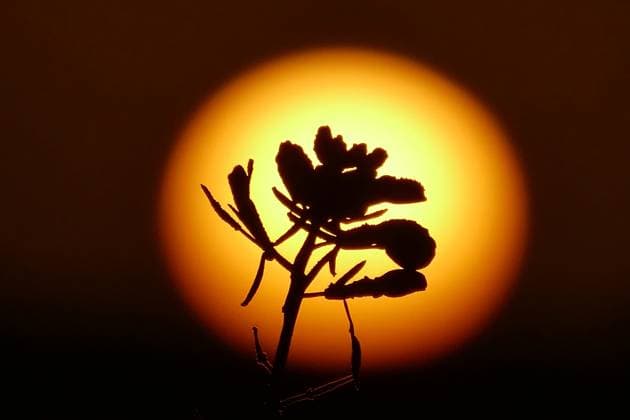 Creative Highlights World Seasonal weather The days sun rises on a much colder morning in the countryside., Credit:Geoffrey Swaine Avalon UK, Oxfordshire, Dunsden  Copyright: xGeoffreyxSwainex xAvalonx 0814446355
