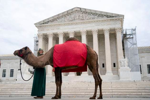 Bilder des Jahres 2023, Entertainment 12 Dezember Entertainment Themen der Woche KW49 Entertainment Bilder des Tages USA, Lebendiges Krippenspiel vor dem Supreme Court in Washington Members of Faith & Liberty, including Delilah the camel, participate in a live nativity scene outside the Supreme Court near the U.S. Capitol in Washington, DC on Thursday, December 7, 2023.  WAP20231207310 BONNIExCASH