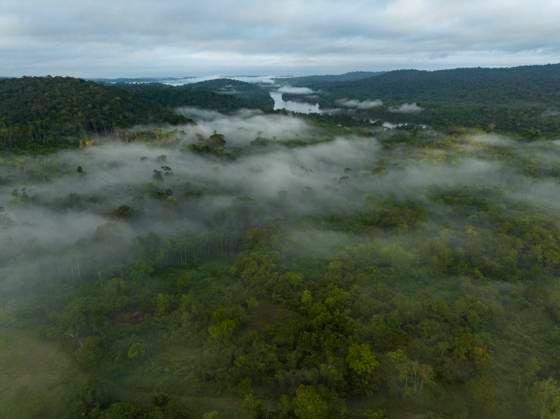 Guyane, outre-mer, amazonie, forêt, biodiversité Florian Launette & Mégane Chêne MAXPPP - Talhuwen 07 12 2023 Guyane- Forêt Amazonienne. Illustration rivière Amazonie foret Illustration sur Talhuwen, également orthographié comme Taluwen, Taluhen ou Taluen, est un village Wayana situé sur la rivière Lawa en Guyane. La Guyane est une collectivité territoriale unique française située en Amérique du Sud, limitrophe du Brésil au sud-est et au sud et du Suriname à l ouest. Elle est la seule collectivité française d outre-mer de nature continentale. Ses compétences, identiques aux autres régions et départements de France, sont regroupées depuis 2015 dans le cadre d une collectivité territoriale unique dont l organe délibérant est l assem  Copyright: xMAXPPPxFlorianxLaunettex&xMéganexChênex LAU202312074882 LAU202312074882