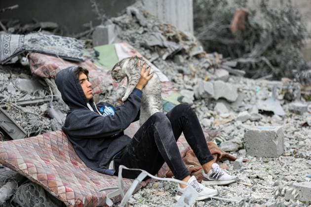 Bilder des Jahres 2023, News 12 Dezember News Themen der Woche KW49 News Bilder des Tages December 7, 2023: Gaza, Palestine. 07 December 2023. A Palestinian youth holds a cat amid the destruction of a residential neighbourhood in the Maghazi Palestinian refugee camp in the central Gaza Strip. Palestinian casualties and much destruction were caused by the targeting by Israeli fighter jets of a residential block in the refugee camp early on Thursday, as Israeli forces continue their relentless military operation against Hamas in the Palestinian enclave - ZUMAd99_ 20231207_zap_d99_001 Copyright: xAdelxAlxHwajrex